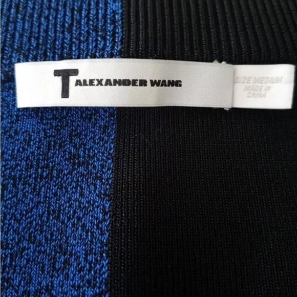 Luxury Alexander Wang Minimalist Designer Collection Colorblock Skirt Blue Black - Picture 5 of 15